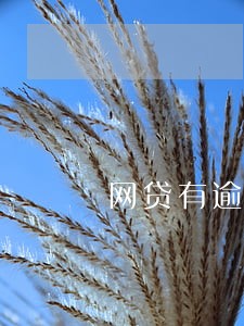 网贷有逾期能口子贷款