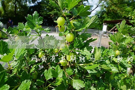 网贷有逾期能马上下款的口子 网贷有逾期能马上下款的口子