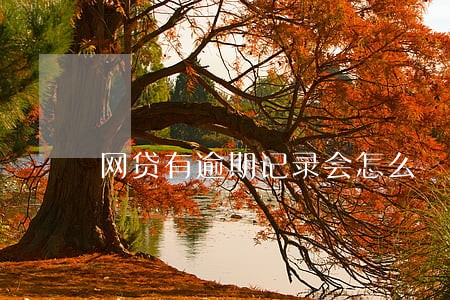 网贷有逾期记录会怎么 网贷有逾期记录会怎么