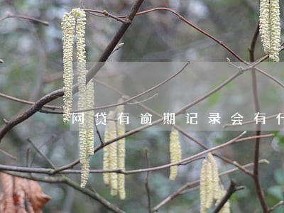 网贷有逾期记录会有什么后果 网贷有逾期记录会有什么后果