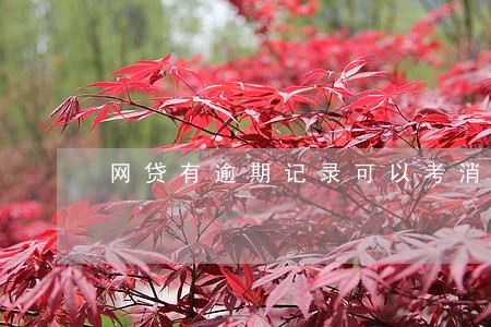 网贷有逾期记录可以考消防员 网贷有逾期记录可以考消防员