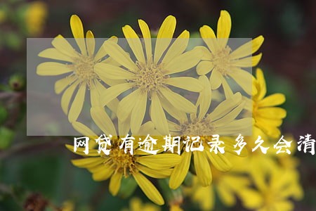 网贷有逾期记录多久会清