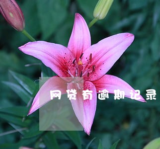 网贷有逾期记录影响参军么 网贷有逾期记录影响参军么