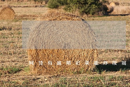 网贷有逾期记录能办按揭吗 网贷有逾期记录能办按揭吗
