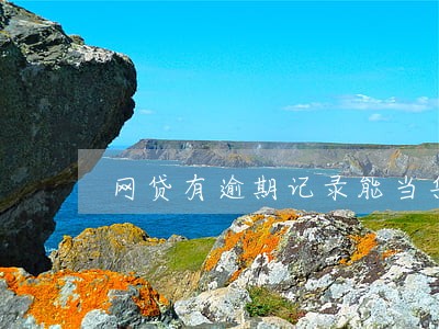 网贷有逾期记录能当兵吗 网贷有逾期记录能当兵吗