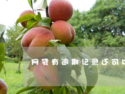 网贷有逾期记录还可以购房吗 网贷有逾期记录还可以购房吗