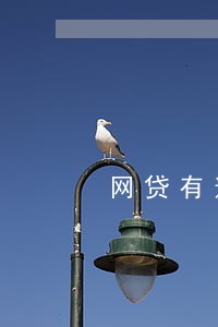 网贷有逾期贴息贷款还能贷吗 网贷有逾期贴息贷款还能贷吗