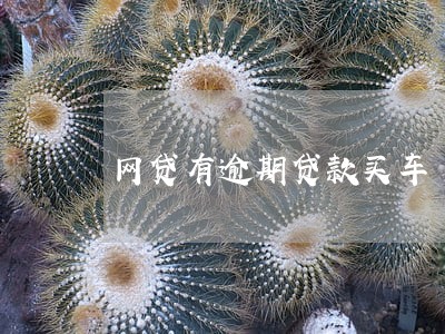 网贷有逾期贷款买车 网贷有逾期贷款买车