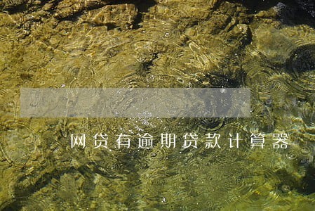 网贷有逾期贷款计算器 网贷有逾期贷款计算器