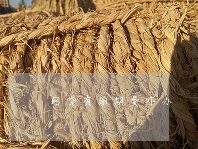 网贷有逾期费咋办 网贷有逾期费咋办