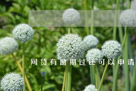 网贷有逾期过还可以申请哪些 网贷有逾期过还可以申请哪些