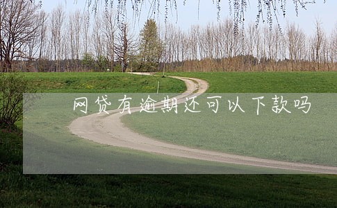 网贷有逾期还可以下款吗 网贷有逾期还可以下款吗