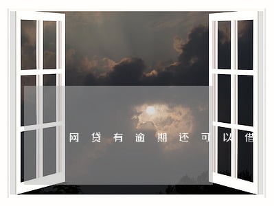 网贷有逾期还可以借款嘛 网贷有逾期还可以借款嘛