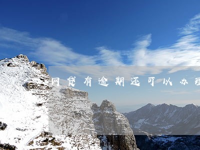网贷有逾期还可以办理信用卡吗