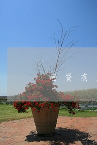 网贷有逾期还款后还能贷吗 网贷有逾期还款后还能贷吗