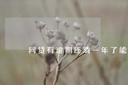 网贷有逾期还清一年了能办房贷吗 网贷有逾期还清一年了能办房贷吗