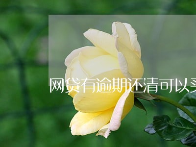 网贷有逾期还清可以买房吗 网贷有逾期还清可以买房吗