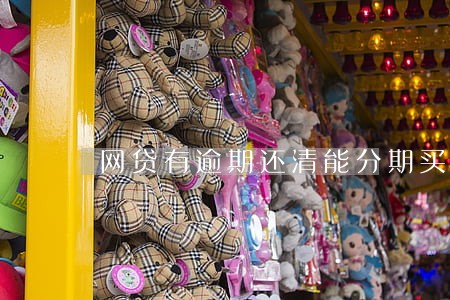网贷有逾期还清能分期买车吗 网贷有逾期还清能分期买车吗