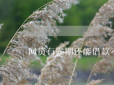 网贷有逾期还能借款不 网贷有逾期还能借款不