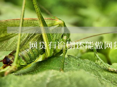 网贷有逾期还能做网贷吗 网贷有逾期还能做网贷吗