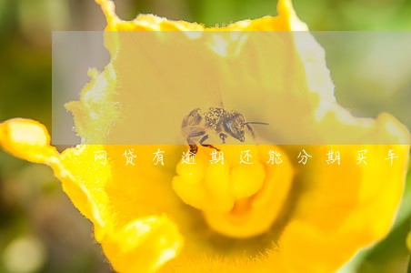 网贷有逾期还能分期买车吗 网贷有逾期还能分期买车吗