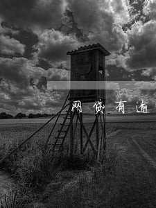网贷有逾期还能分期手机吗