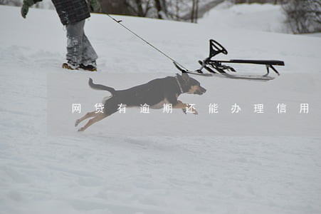 网贷有逾期还能办理信用卡么 网贷有逾期还能办理信用卡么