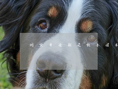 网贷有逾期还能办理车贷吗 网贷有逾期还能办理车贷吗