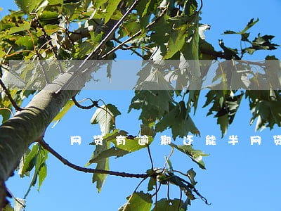 网贷有逾期还能半网贷吗 网贷有逾期还能半网贷吗