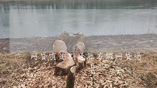 网贷有逾期还能在做网贷吗