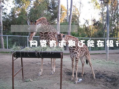 网贷有逾期还能在银行贷款吗 网贷有逾期还能在银行贷款吗