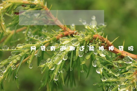 网贷有逾期还能抵押贷吗 网贷有逾期还能抵押贷吗
