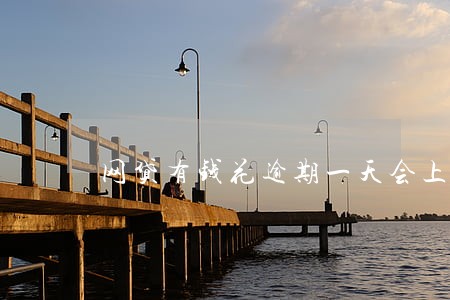 网贷有钱花逾期一天会上征信吗 网贷有钱花逾期一天会上征信吗
