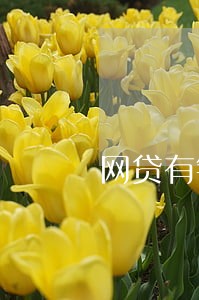网贷有钱花逾期要还全款怎么办 网贷有钱花逾期要还全款怎么办