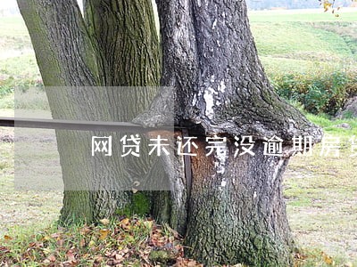网贷未还完没逾期房贷能下吗 网贷未还完没逾期房贷能下吗