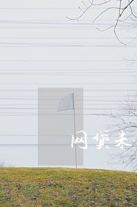 网贷未还清没逾期按揭买车 网贷未还清没逾期按揭买车