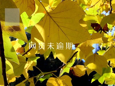网贷未逾期 网贷未逾期