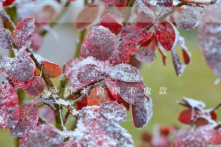网贷未逾期不放款 网贷未逾期不放款