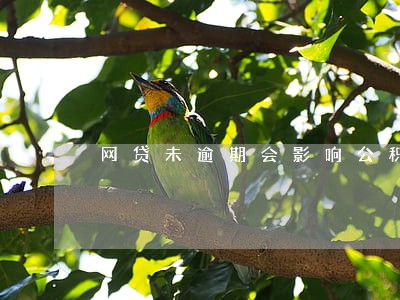 网贷未逾期会影响公积金买房吗 网贷未逾期会影响公积金买房吗