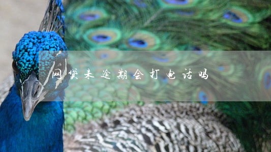 网贷未逾期会打电话吗 网贷未逾期会打电话吗
