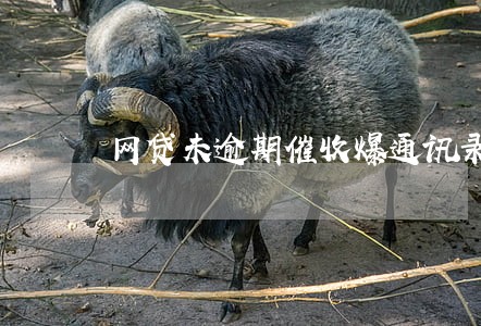 网贷未逾期催收爆通讯录 网贷未逾期催收爆通讯录