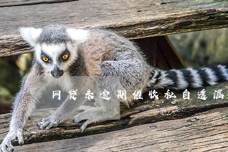 网贷未逾期催收私自透漏 网贷未逾期催收私自透漏