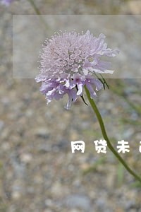 网贷未逾期全部结清 网贷未逾期全部结清