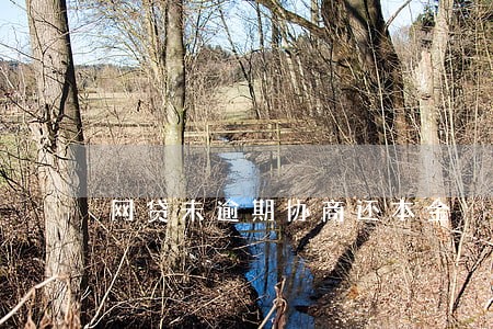 网贷未逾期协商还本金 网贷未逾期协商还本金
