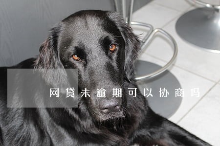 网贷未逾期可以协商吗 网贷未逾期可以协商吗