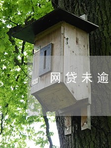 网贷未逾期可以起诉吗 网贷未逾期可以起诉吗