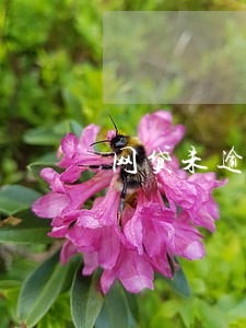 网贷未逾期可以进银行工作吗 网贷未逾期可以进银行工作吗