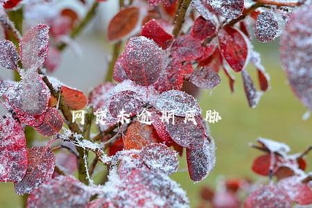 网贷未逾期威胁 网贷未逾期威胁