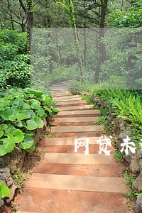 网贷未逾期已全额结清影响房贷么 网贷未逾期已全额结清影响房贷么