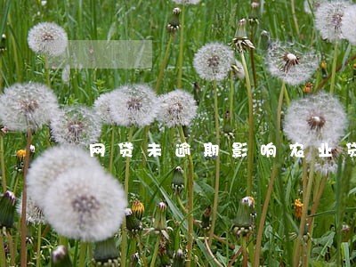 网贷未逾期影响农业贷款吗 网贷未逾期影响农业贷款吗